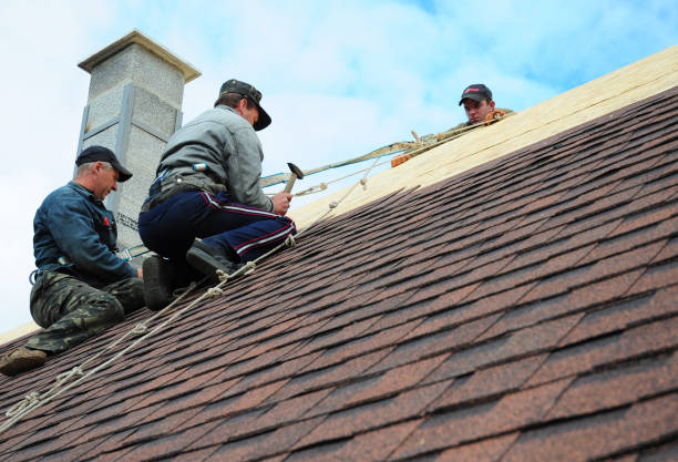 Sealant for Roof in Milledgeville, IL