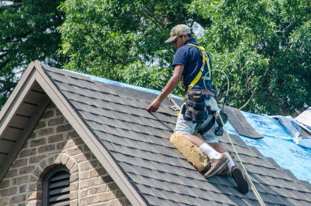Best Emergency Roof Repair  in Mledgevle, IL